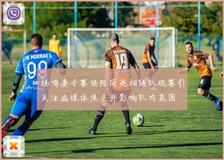 杨鸣妻子赛场陪同亮相随队观赛引关注成媒体焦点并影响队内氛围