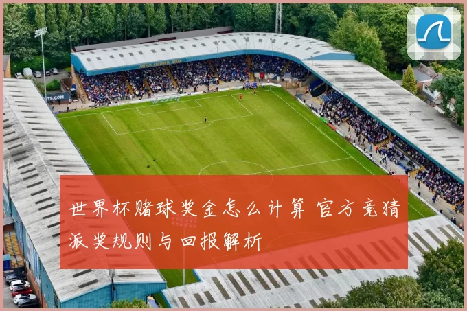 世界杯赌球奖金怎么计算 官方竞猜派奖规则与回报解析